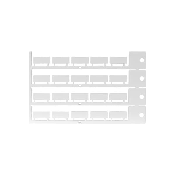 Inscription Label IBS-8X20